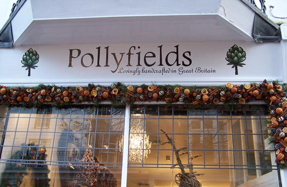 Pollyfields